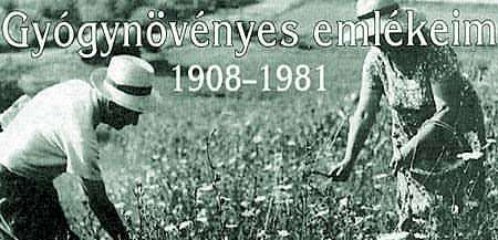 Fot: Gidfalvy Etelka